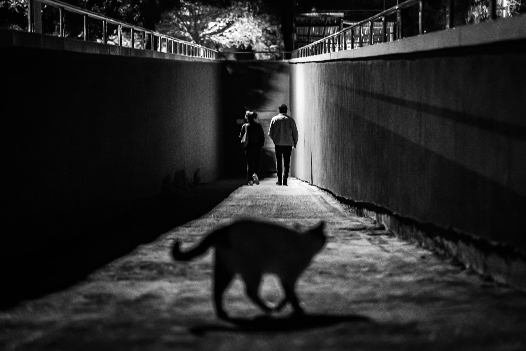 Follow - Görsel 1