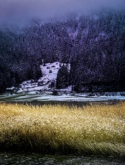 Soğuk - Görsel 1