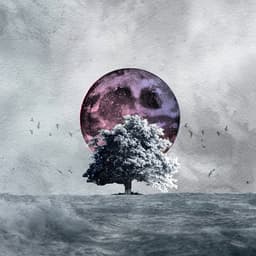 Yeniden - Görsel 1